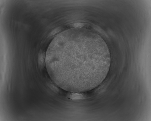 X0000083600240200703021921