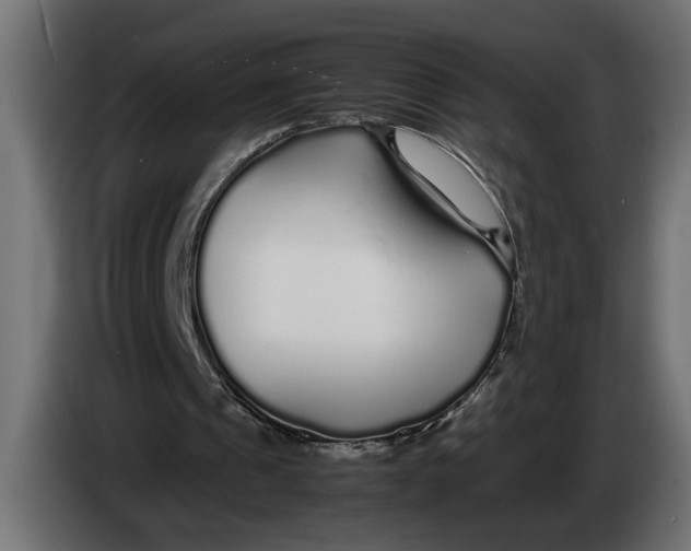 X0000083600241200703021920