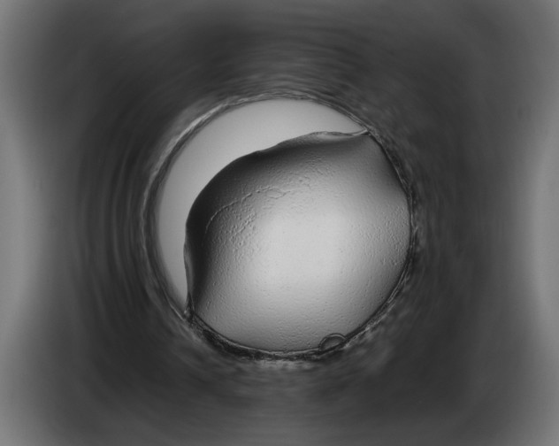 X0000083600242200703021920