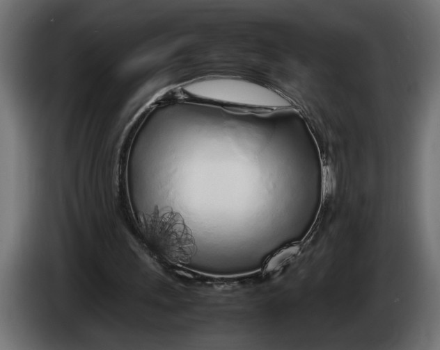 X0000083600243200703021920