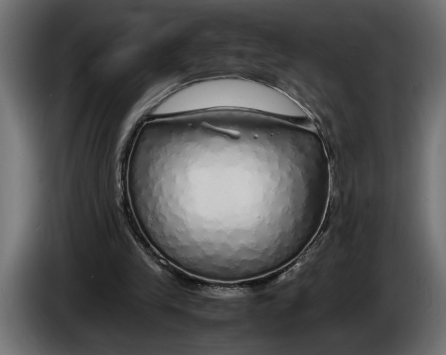 X0000083600245200703021921