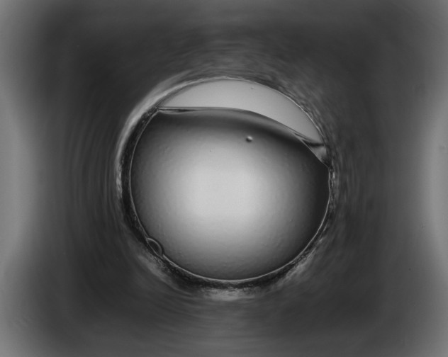 X0000083600246200703021921