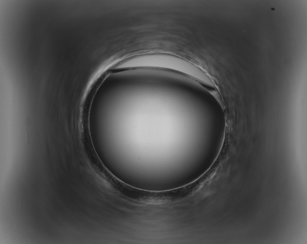 X0000083600248200703021921