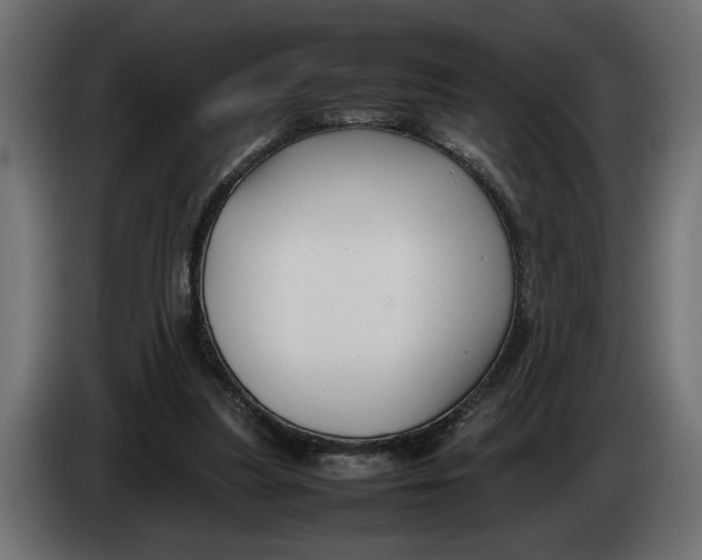 X0000083600251200703021921