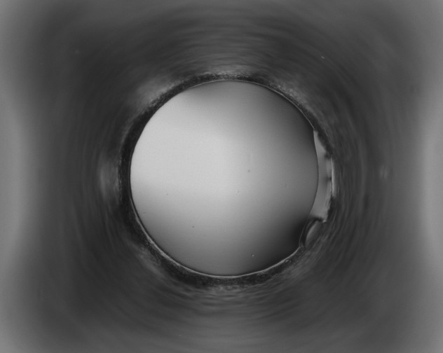 X0000083600252200703021921