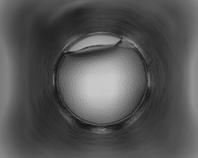 X0000083600253200703021921