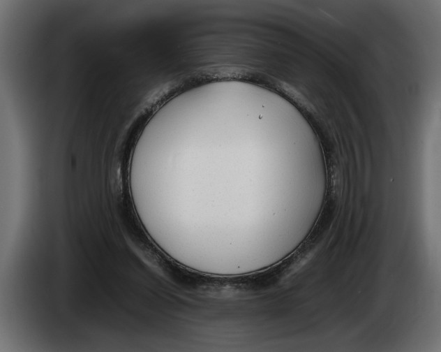 X0000083600254200703021921