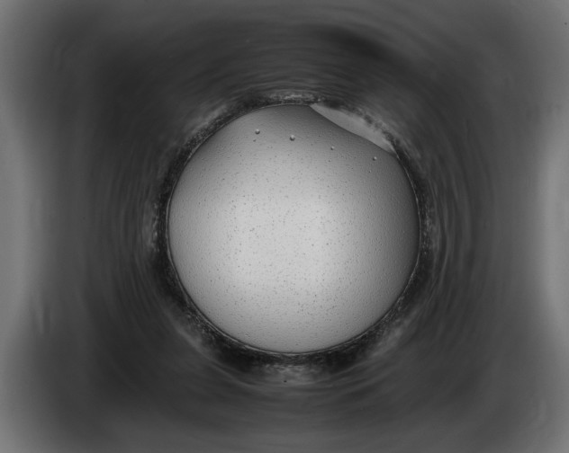 X0000083600255200703021921