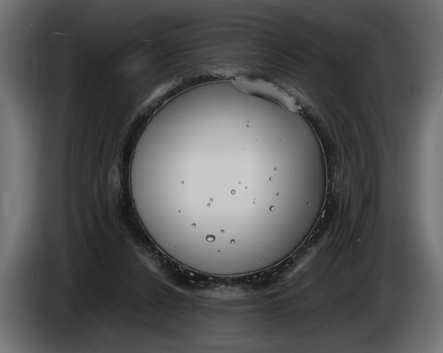 X0000083600256200703021921