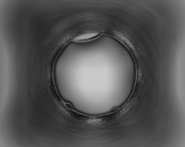 X0000083600257200703021921