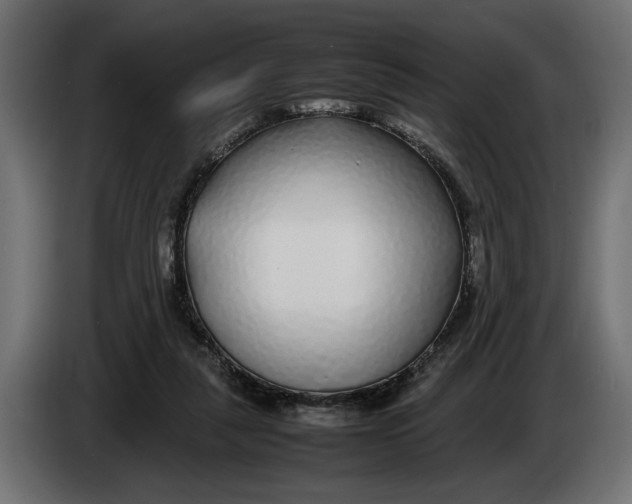 X0000083600259200703021921