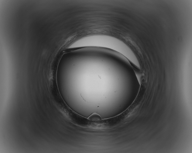 X0000083600260200703021921