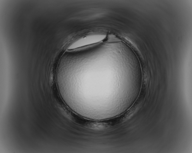 X0000083600261200703021921