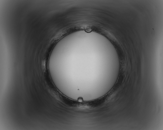 X0000083600262200703021921