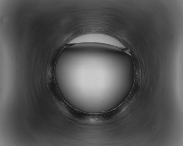 X0000083600264200703021921