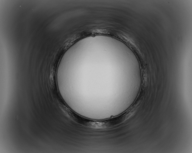 X0000083600265200703021921