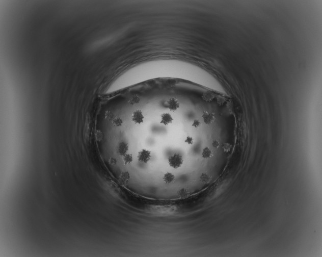 X0000083600266200703021921