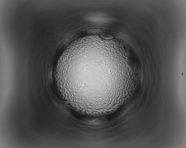 X0000083600267200703021921