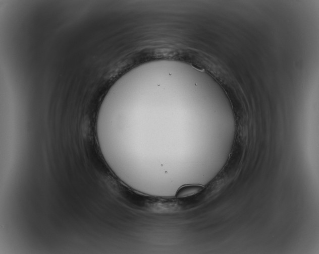 X0000083600270200703021921