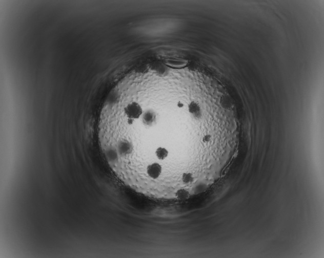 X0000083600271200703021921