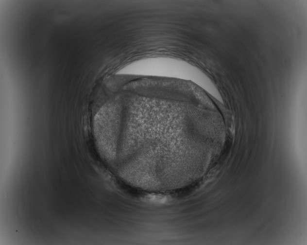 X0000083600272200703021921