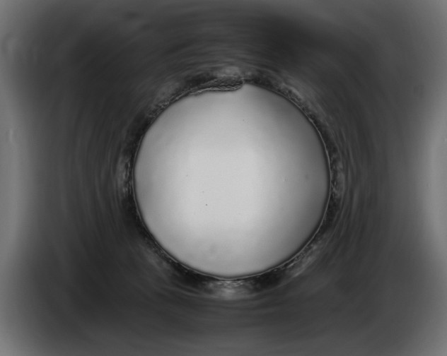 X0000083600273200703021921