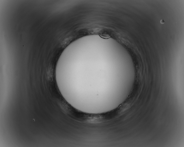 X0000083600274200703021921