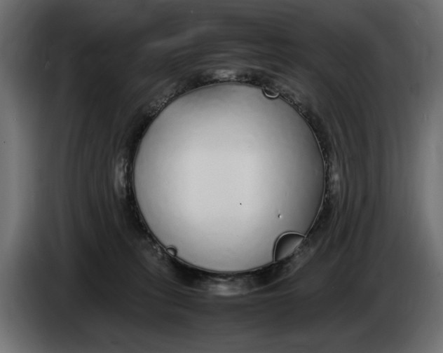 X0000083600275200703021921