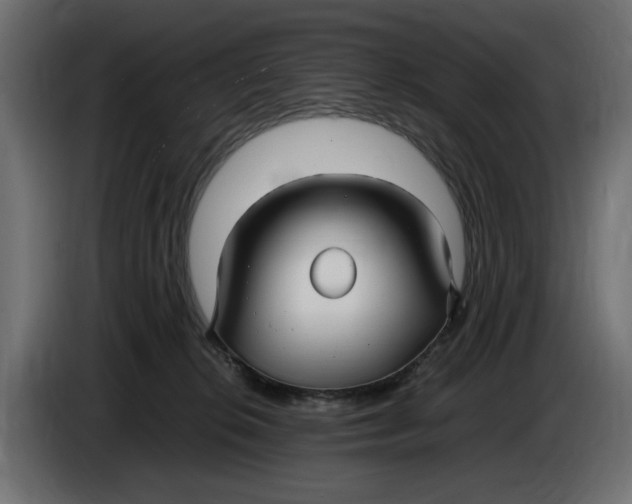 X0000083600276200703021921