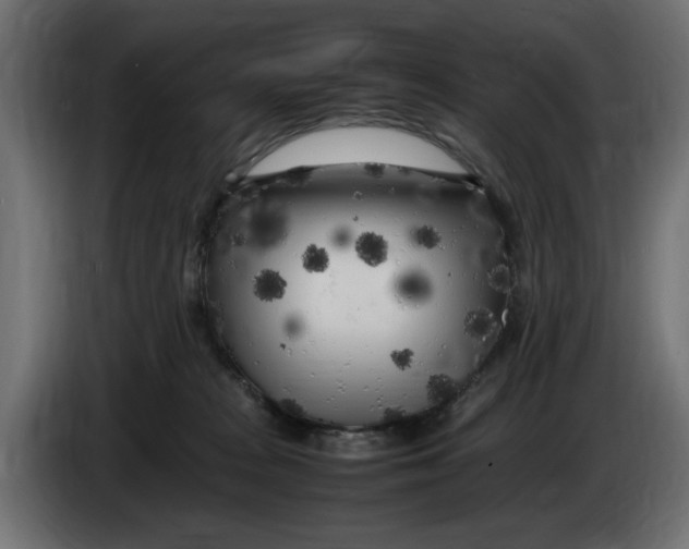 X0000083600277200703021921