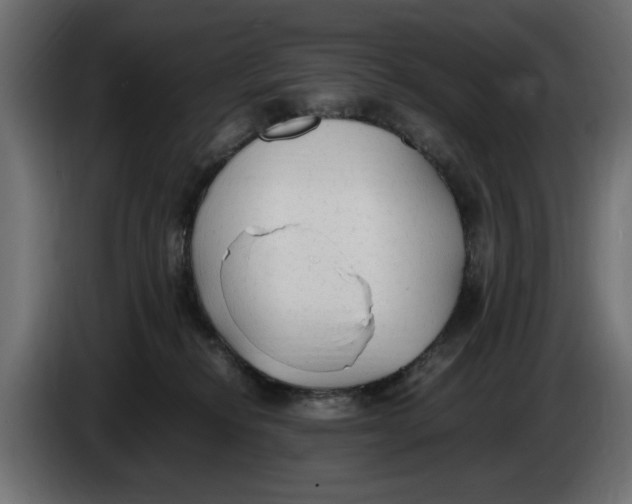 X0000083600278200703021921