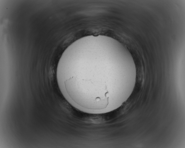 X0000083600279200703021921