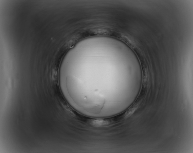 X0000083600281200703021921