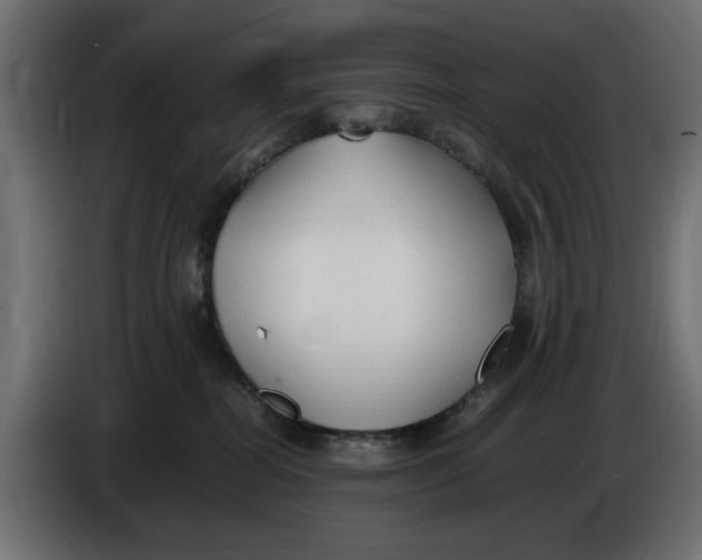 X0000083600282200703021921