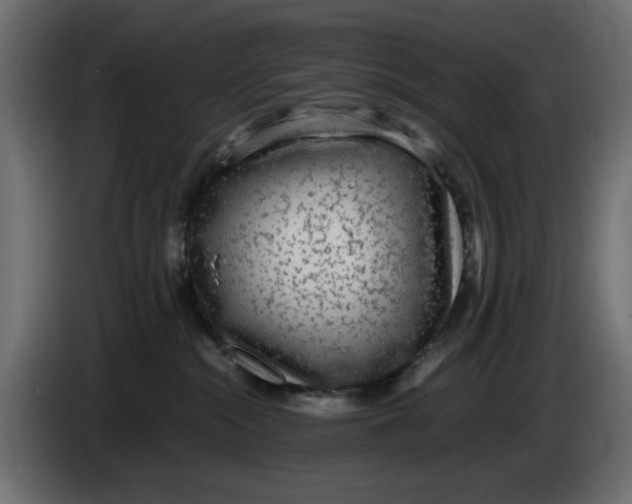 X0000083600284200703021921