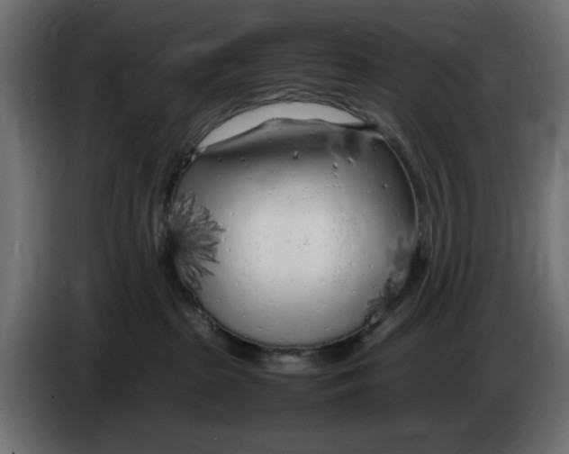 X0000083600285200703021921