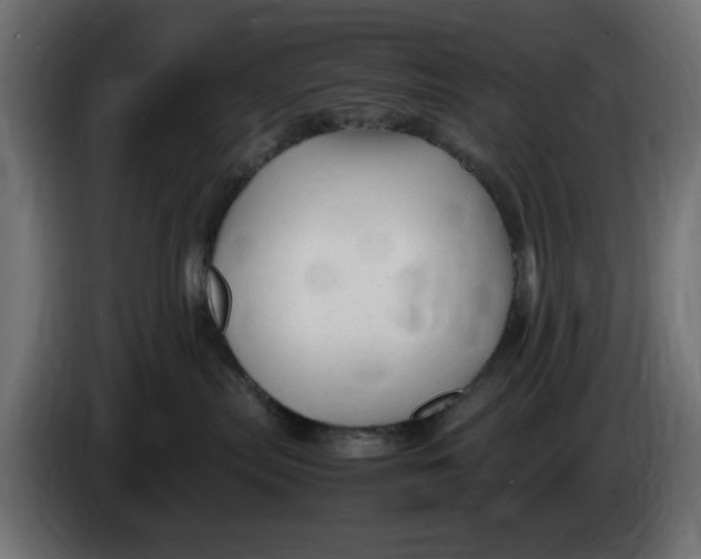 X0000083600287200703021921