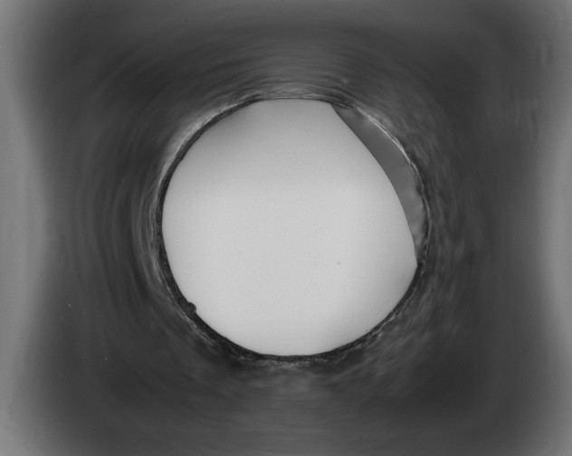 X0000083600289200703021920