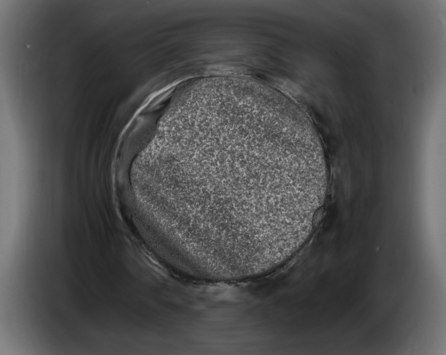 X0000083600290200703021920