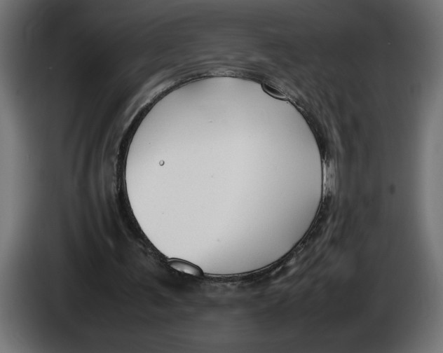 X0000083600291200703021920