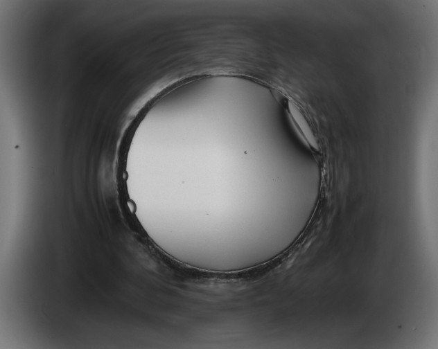 X0000083600292200703021920