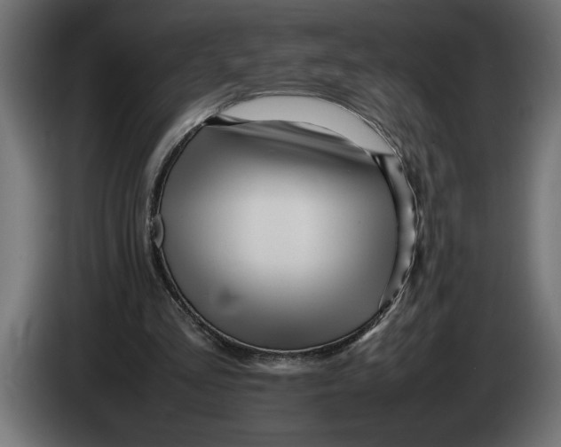 X0000083600293200703021920