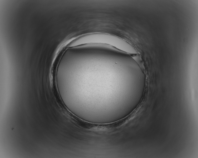 X0000083600294200703021920