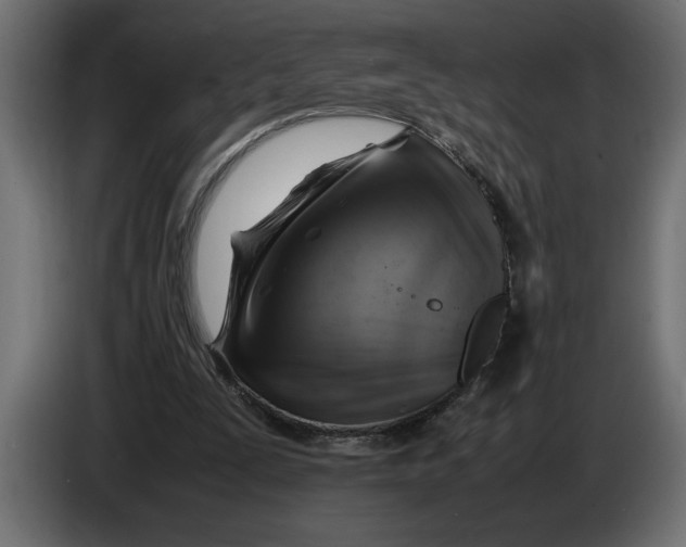 X0000083600295200703021920