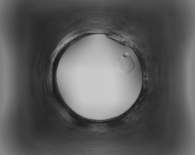 X0000083600296200703021920