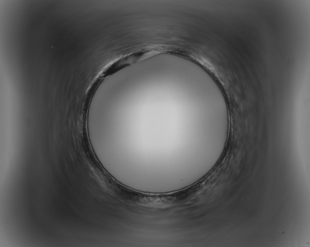 X0000083600297200703021920