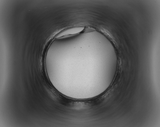 X0000083600298200703021920