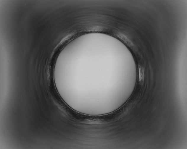 X0000083600300200703021920