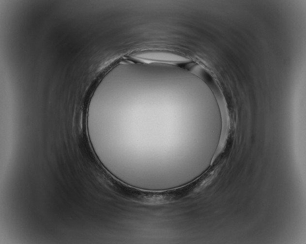 X0000083600301200703021920