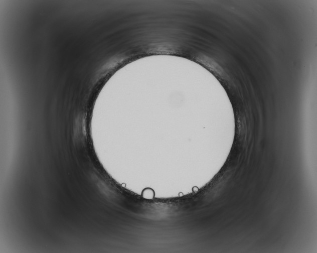 X0000083600302200703021920